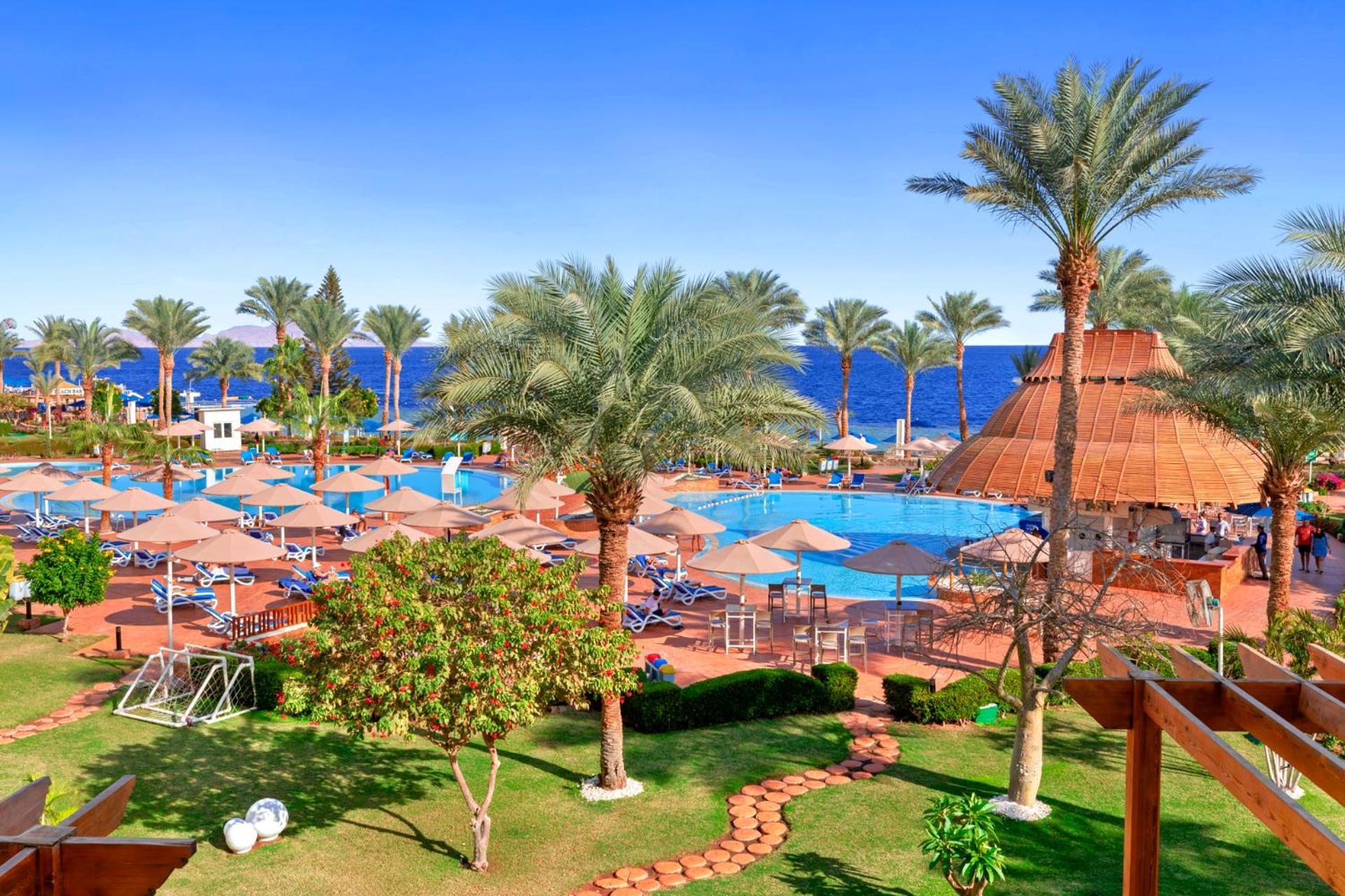Pickalbatros Royal Grand Sharm - Adults Friendly 16 Years Plus Exteriör bild The image shows a vibrant tropical resort scene. In the foreground, there are lush green palm trees and neatly organized grassy areas. A winding pathway made of bricks leads through the gardens. 

In the background, a large swimming pool is visible, 